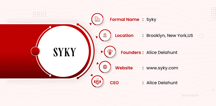 Syky Startup Company